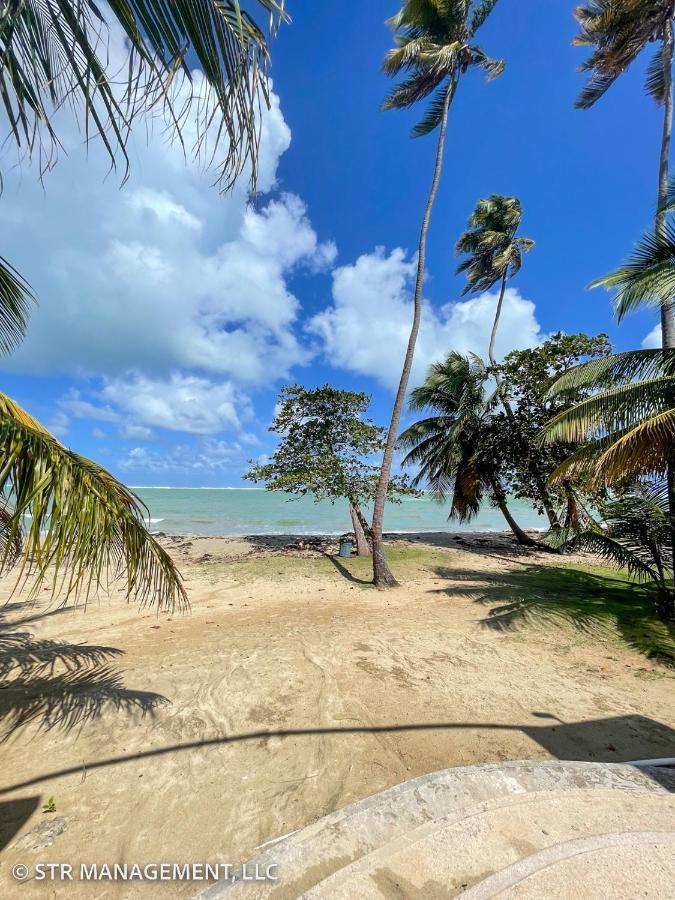 Upscale Condo At Aquatika Beach & Vacation Villas Loiza Exterior foto